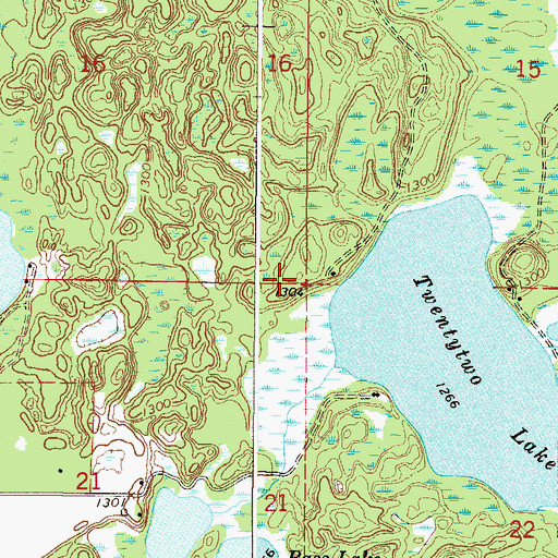 Topographic Map of Township of Roosevelt, MN