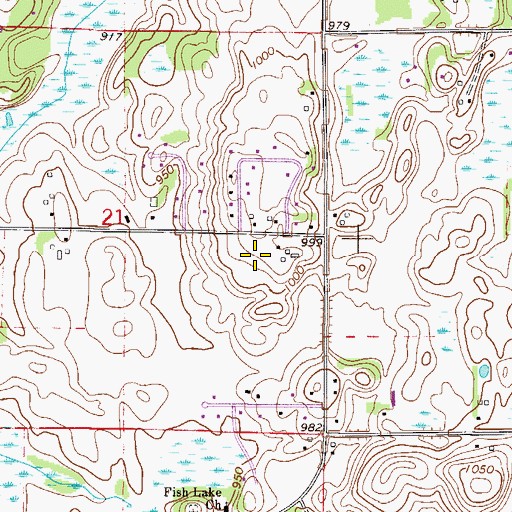 Topographic Map of Township of Spring Lake, MN