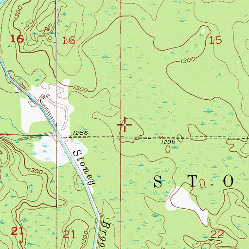 Topographic Map of Township of Stoney Brook, MN