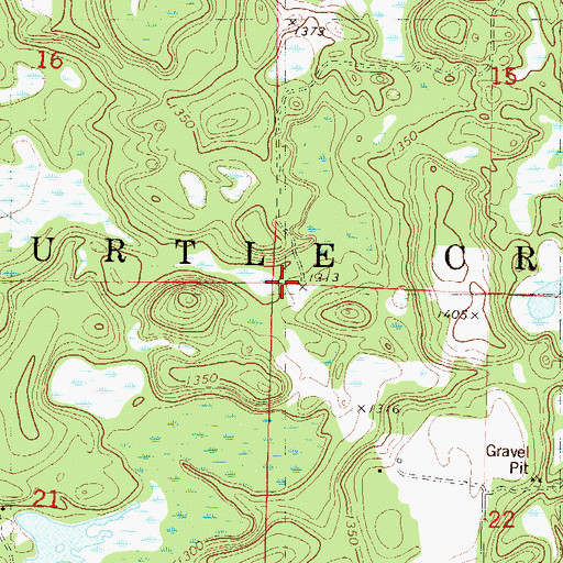 Topographic Map of Township of Turtle Creek, MN