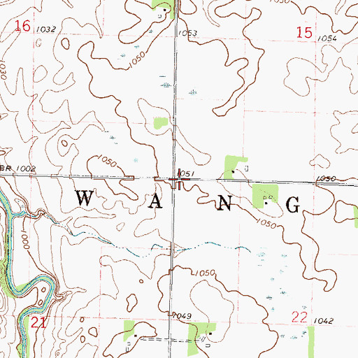 Topographic Map of Township of Wang, MN