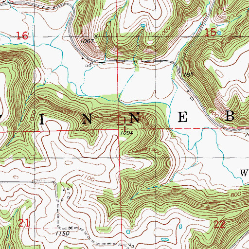 Topographic Map of Township of Winnebago, MN