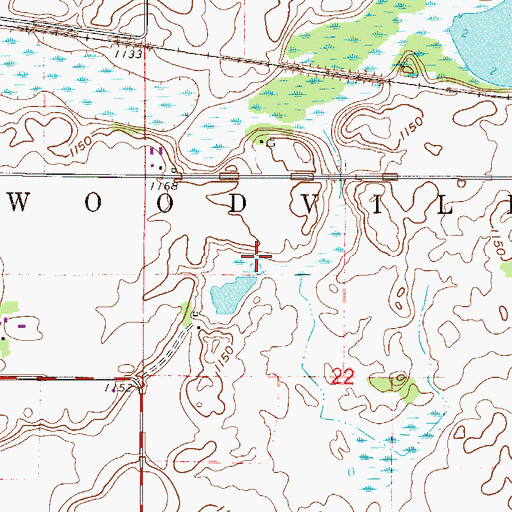 Topographic Map of Township of Woodville, MN