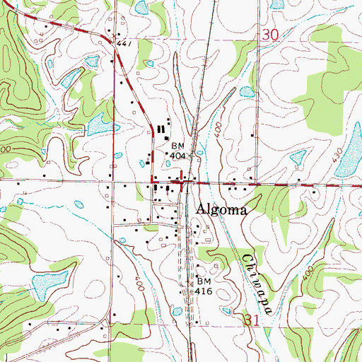 Topographic Map of Algoma, MS