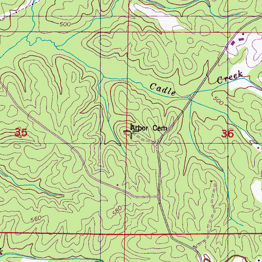 Topographic Map of Arbor Cemetery, MS