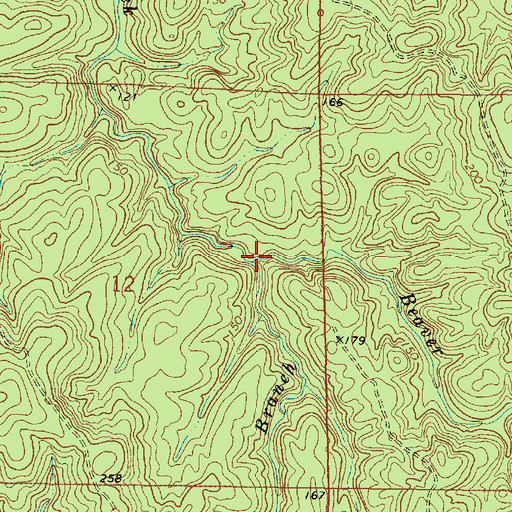 Topographic Map of Beaver Branch, MS
