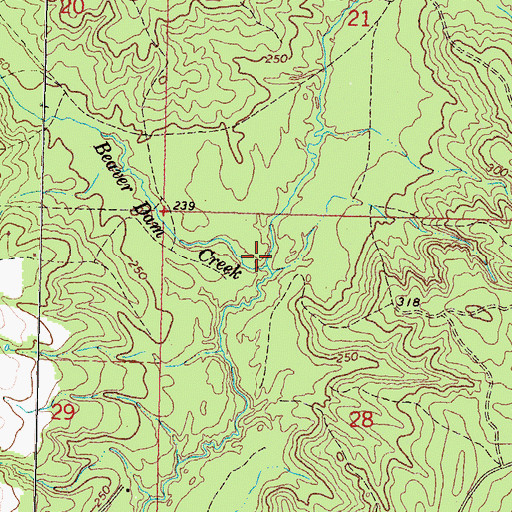 Topographic Map of Beaver Dam Creek, MS