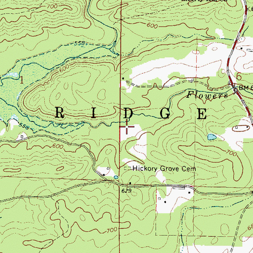 Topographic Map of Township of Blue Ridge, AR