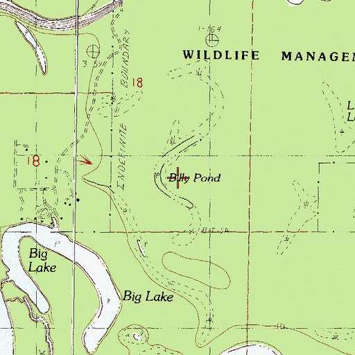 Topographic Map of Billy Pond, MS