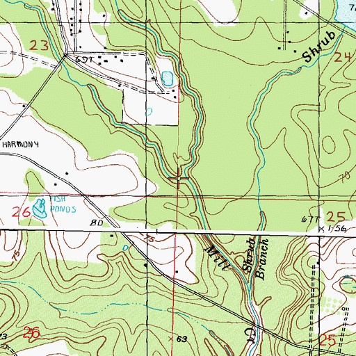 Topographic Map of Blacksnake Branch, MS