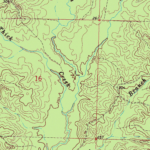 Topographic Map of Blue Springs Branch, MS