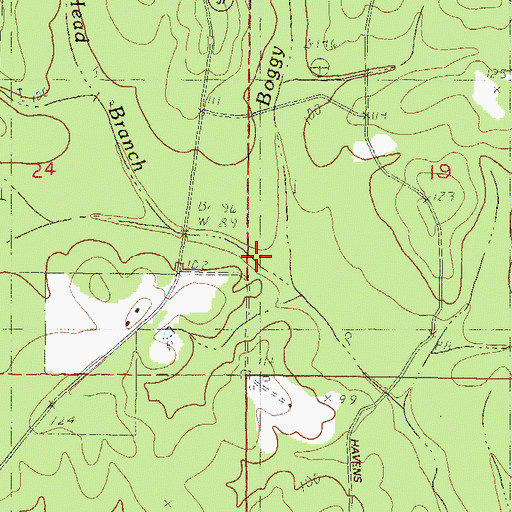 Topographic Map of Boggy Branch, MS