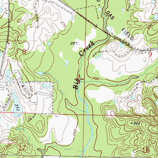 Topographic Map of Brady Creek, MS