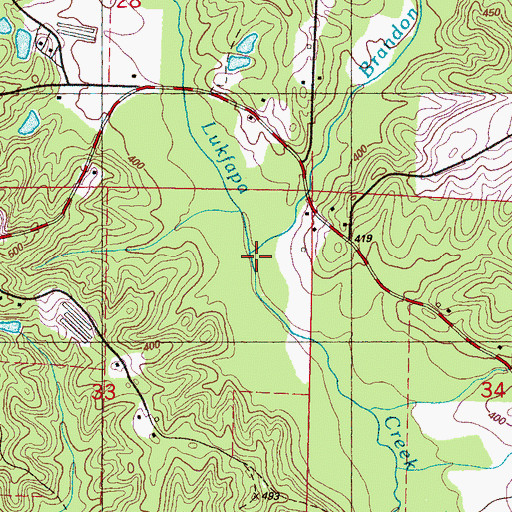 Topographic Map of Brandon Branch, MS