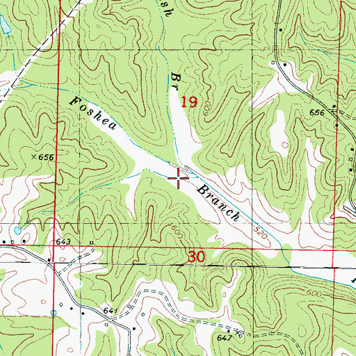 Topographic Map of Brush Branch, MS