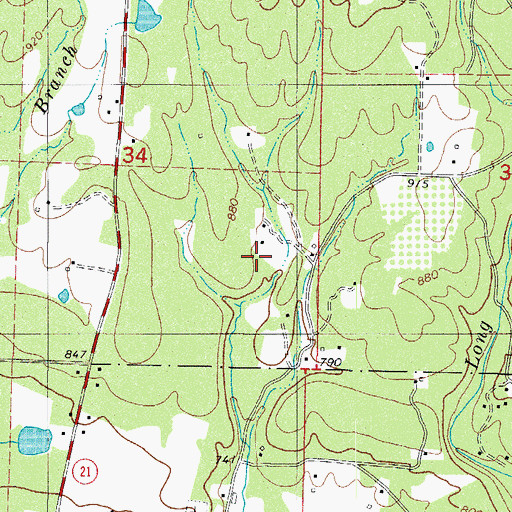 Topographic Map of Township of Red Lick, AR