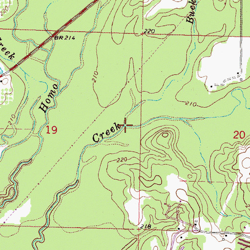 Topographic Map of Buck Branch, MS