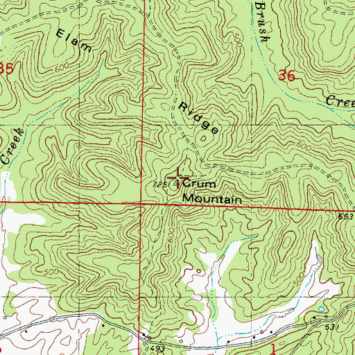 Topographic Map of Crum Mountain, MS