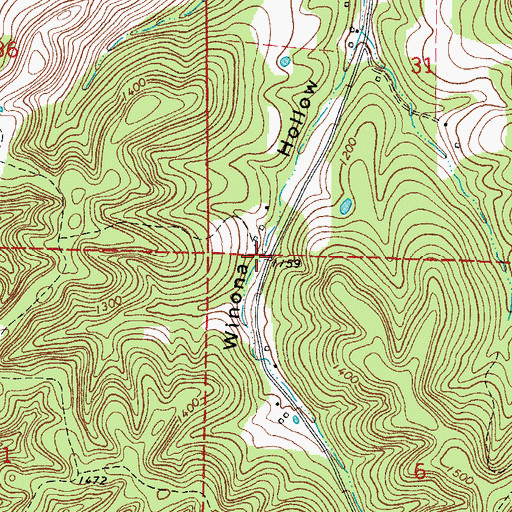 Topographic Map of Township of Winona, AR