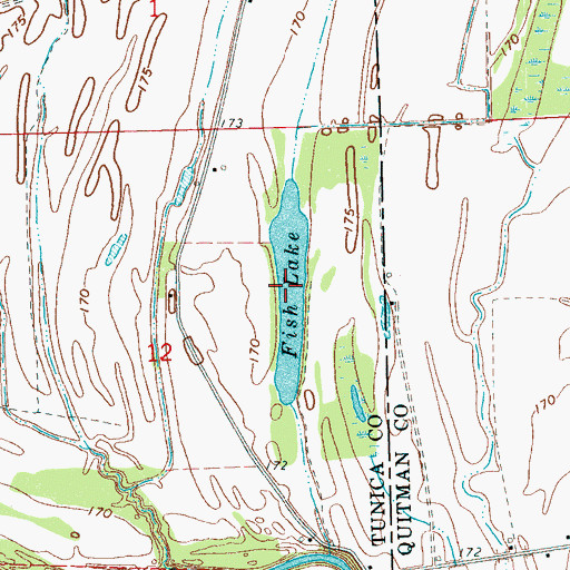 Topographic Map of Fish Lake, MS