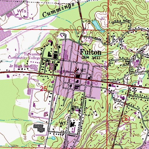 Topographic Map of Fulton, MS