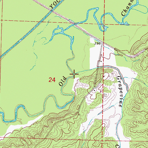 Topographic Map of Grapevine Creek, MS
