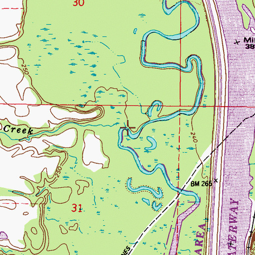Topographic Map of Green Creek, MS