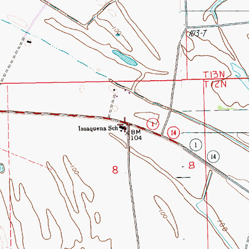 Topographic Map of Issaquena School, MS