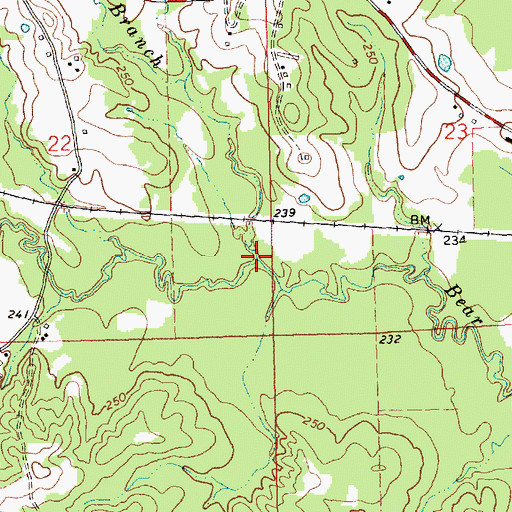 Topographic Map of Johnson Branch, MS