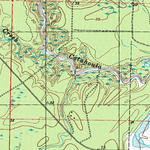 Topographic Map of Lion Branch, MS