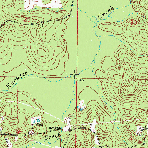Topographic Map of Little Eucutta Creek, MS