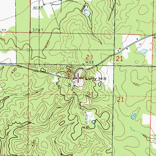 Topographic Map of Lolly Hill, MS