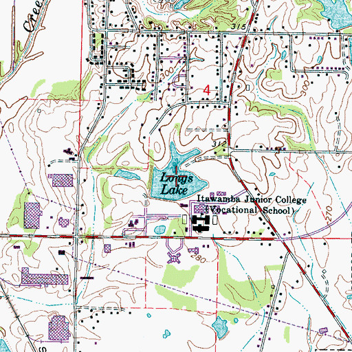 Topographic Map of Longs Lake, MS