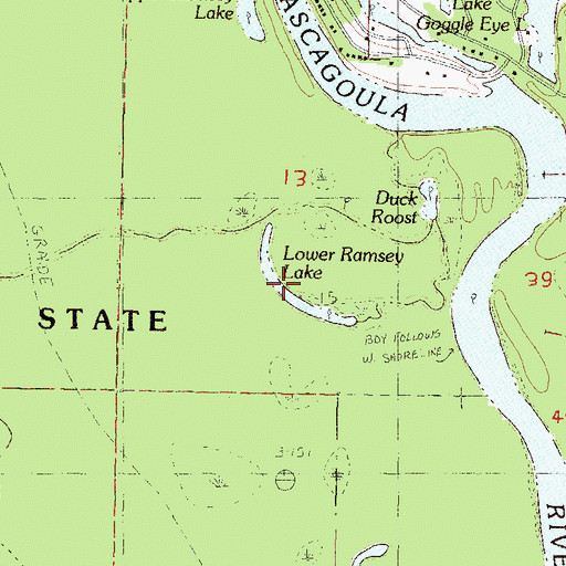 Topographic Map of Lower Ramsey Lake, MS