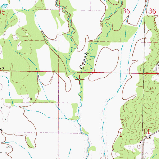 Topographic Map of McGill Creek, MS
