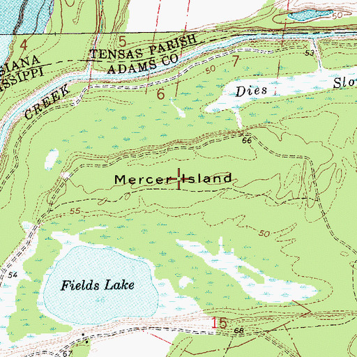 Topographic Map of Mercer Island, MS