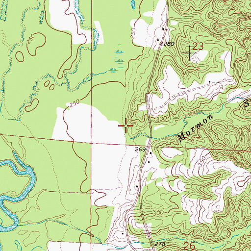 Topographic Map of Mormon Spring Branch, MS
