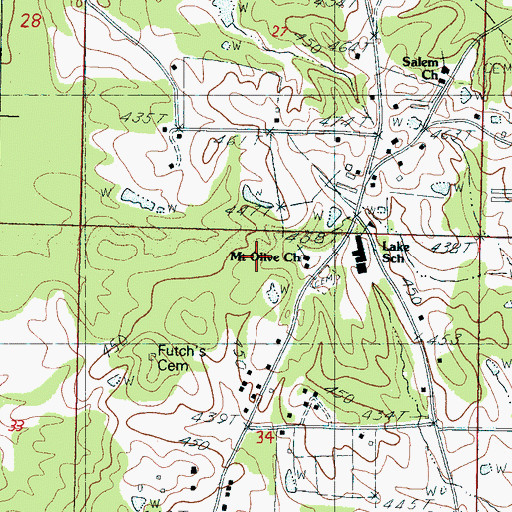 Topographic Map of Mount Olive School, MS