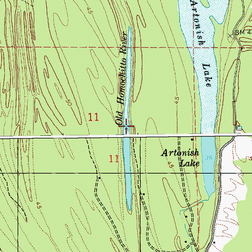Topographic Map of Old Homochitto River, MS