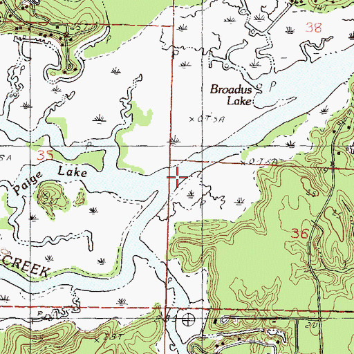 Topographic Map of Paige Bayou, MS