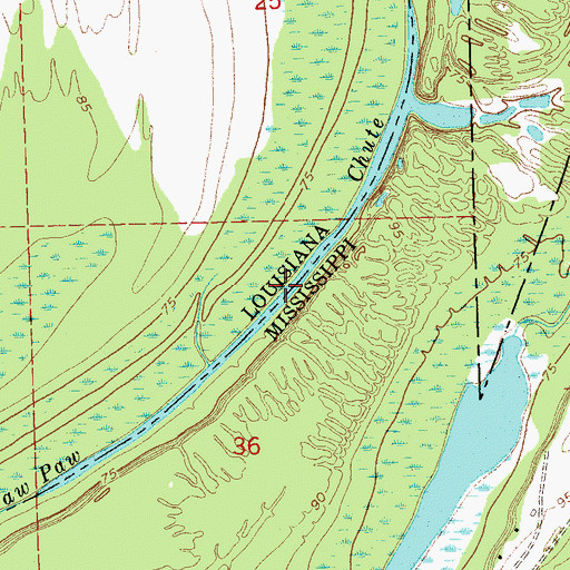 Topographic Map of Paw Paw Chute, MS