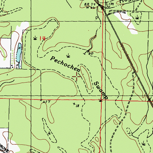 Topographic Map of Pechochen Swamp, MS