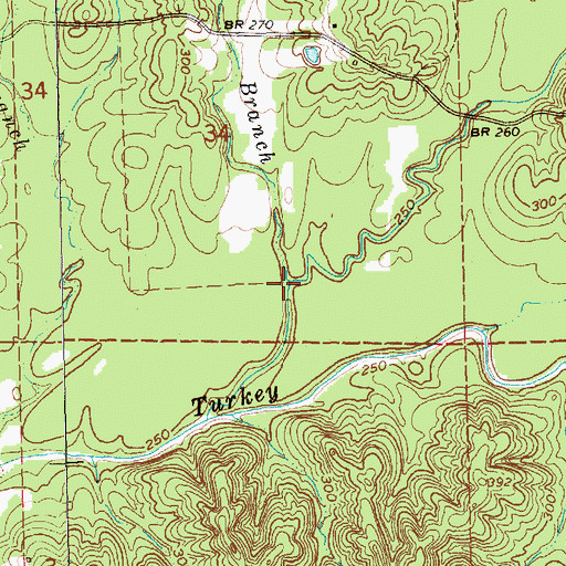 Topographic Map of Persimmon Branch, MS