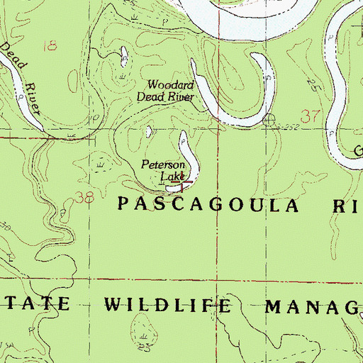 Topographic Map of Peterson Lake, MS