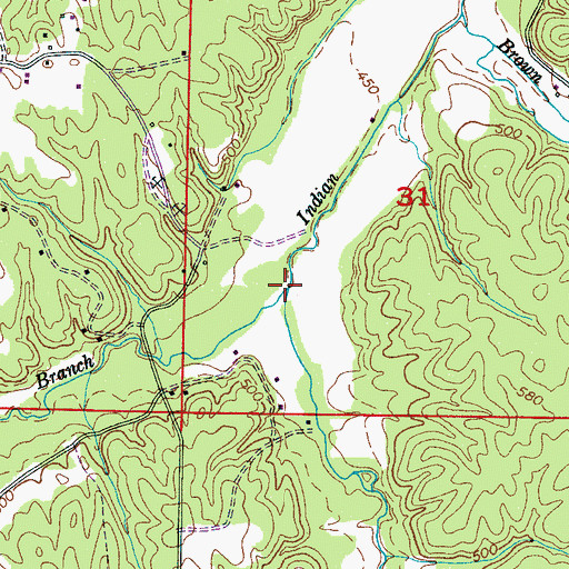 Topographic Map of Pickens Branch, MS