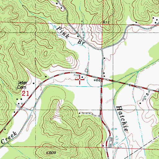 Topographic Map of Pink Branch, MS
