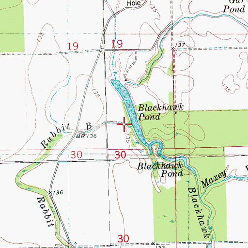 Topographic Map of Rabbit Bayou, MS