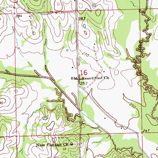 Topographic Map of Sanctified Church, MS