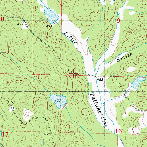 Topographic Map of Smith Branch, MS
