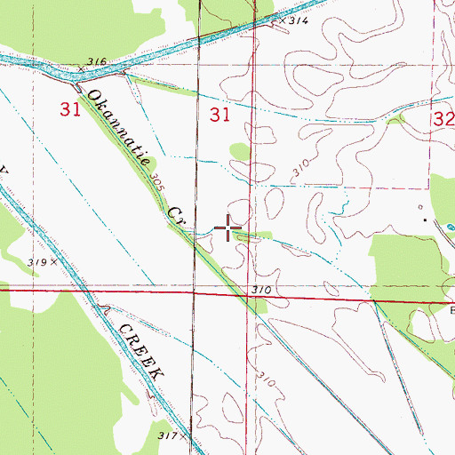 Topographic Map of Terry Creek, MS
